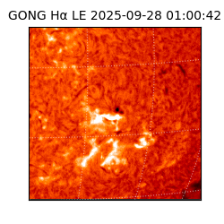 gong - 2025-09-28T01:00:42