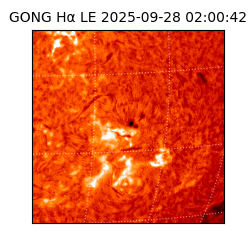 gong - 2025-09-28T02:00:42