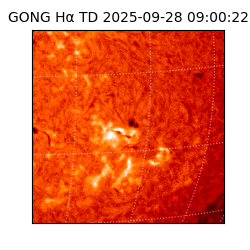 gong - 2025-09-28T09:00:22