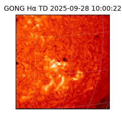 gong - 2025-09-28T10:00:22