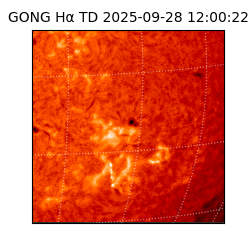 gong - 2025-09-28T12:00:22