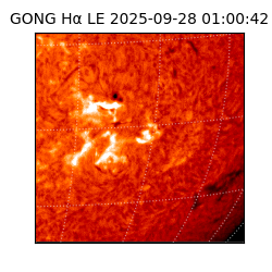 gong - 2025-09-28T01:00:42