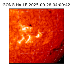 gong - 2025-09-28T04:00:42