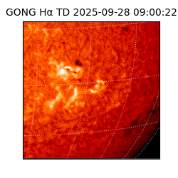 gong - 2025-09-28T09:00:22