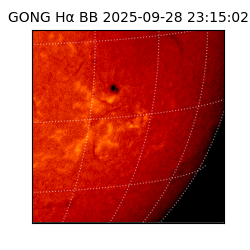 gong - 2025-09-28T23:15:02