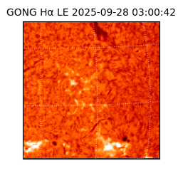 gong - 2025-09-28T03:00:42