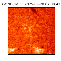 gong - 2025-09-28T07:00:42