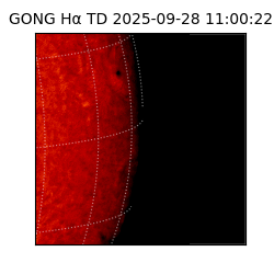 gong - 2025-09-28T11:00:22