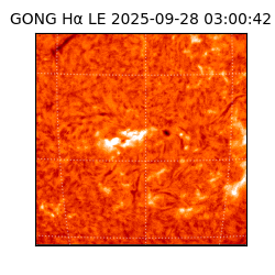 gong - 2025-09-28T03:00:42
