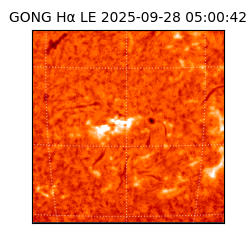 gong - 2025-09-28T05:00:42