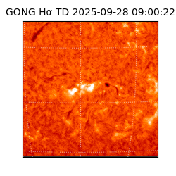 gong - 2025-09-28T09:00:22