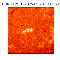 gong - 2025-09-28T12:00:22