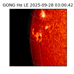 gong - 2025-09-28T03:00:42