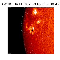 gong - 2025-09-28T07:00:42
