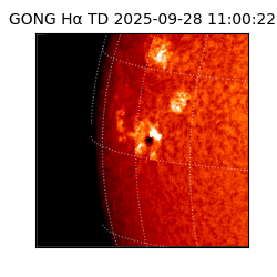 gong - 2025-09-28T11:00:22
