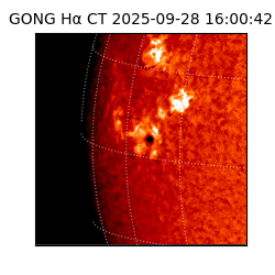 gong - 2025-09-28T16:00:42