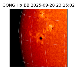 gong - 2025-09-28T23:15:02