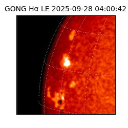 gong - 2025-09-28T04:00:42