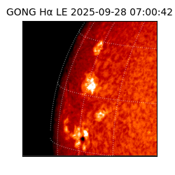 gong - 2025-09-28T07:00:42