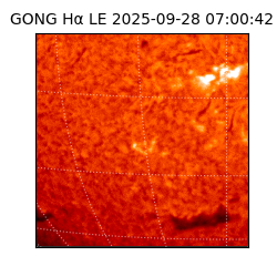 gong - 2025-09-28T07:00:42