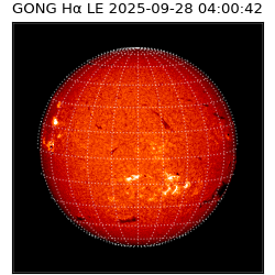 gong - 2025-09-28T04:00:42