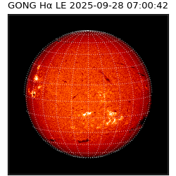 gong - 2025-09-28T07:00:42