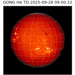 gong - 2025-09-28T09:00:22