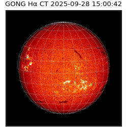 gong - 2025-09-28T15:00:42