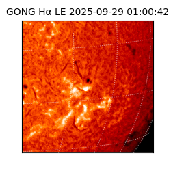 gong - 2025-09-29T01:00:42