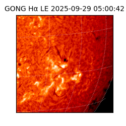 gong - 2025-09-29T05:00:42