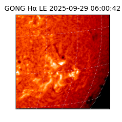 gong - 2025-09-29T06:00:42