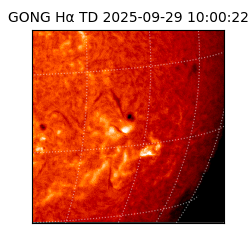 gong - 2025-09-29T10:00:22