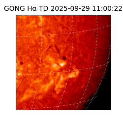 gong - 2025-09-29T11:00:22