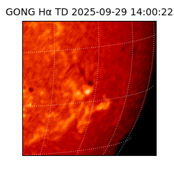 gong - 2025-09-29T14:00:22