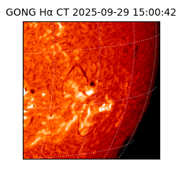 gong - 2025-09-29T15:00:42