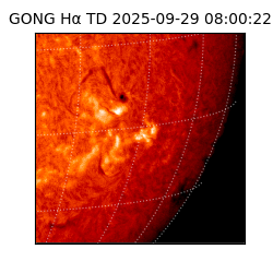 gong - 2025-09-29T08:00:22