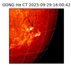 gong - 2025-09-29T16:00:42