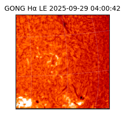 gong - 2025-09-29T04:00:42