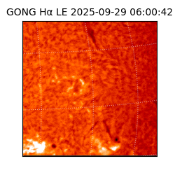 gong - 2025-09-29T06:00:42