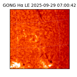 gong - 2025-09-29T07:00:42