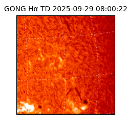 gong - 2025-09-29T08:00:22