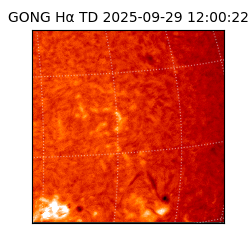 gong - 2025-09-29T12:00:22