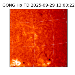 gong - 2025-09-29T13:00:22