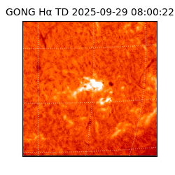 gong - 2025-09-29T08:00:22