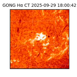 gong - 2025-09-29T18:00:42