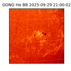 gong - 2025-09-29T21:00:02
