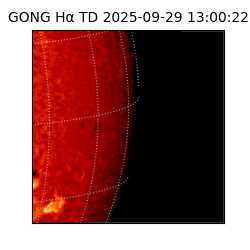 gong - 2025-09-29T13:00:22