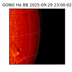 gong - 2025-09-29T23:00:02