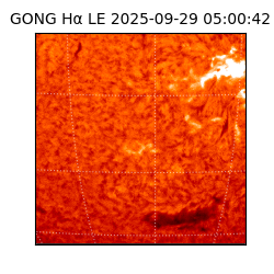 gong - 2025-09-29T05:00:42