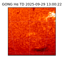 gong - 2025-09-29T13:00:22